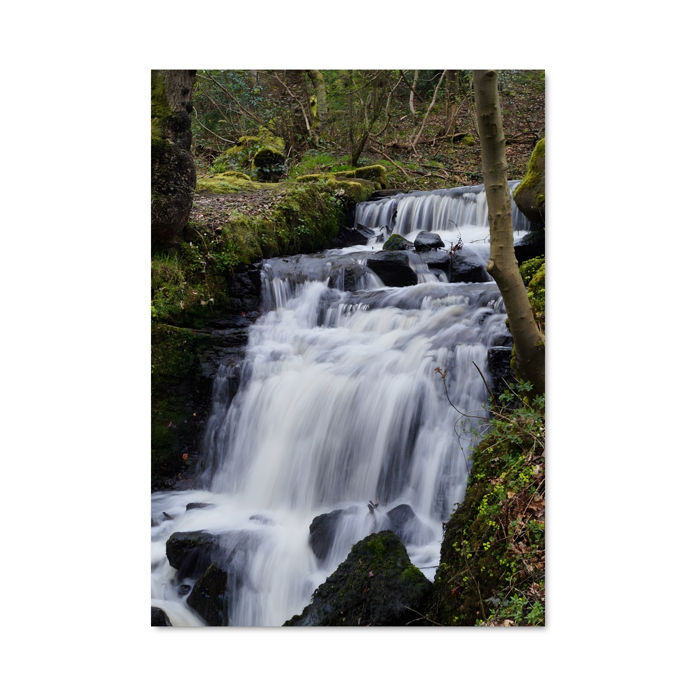 Poster Lee de valley
